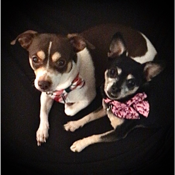 Meet your Posher, Kerry - Picture 2 of 4